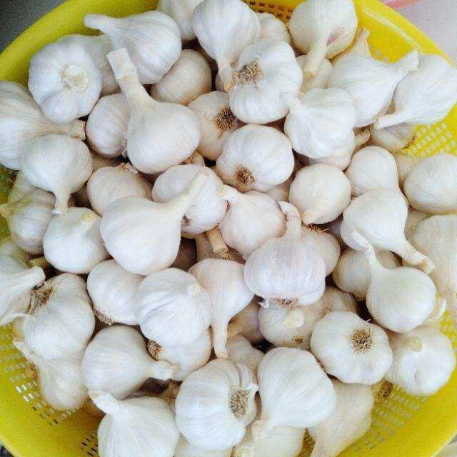 1KG Tỏi khô Phan Rang