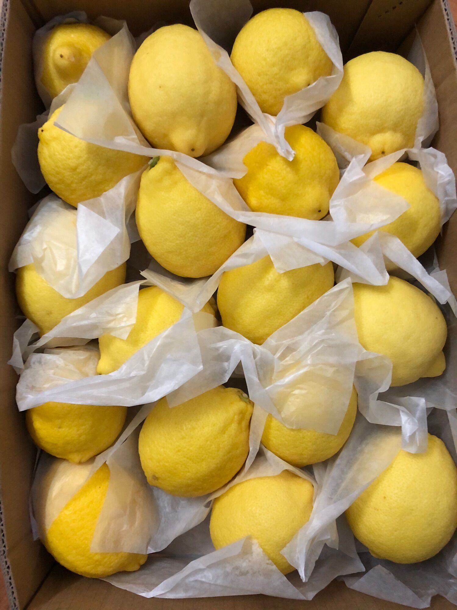 Chanh Vàng Mỹ nhập khẩu - 1kg