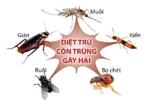 Combo 2 chai thuốc diệt muỗi PERMECIDE 50EC (100ml) + DONA USA 150SC (50ml)