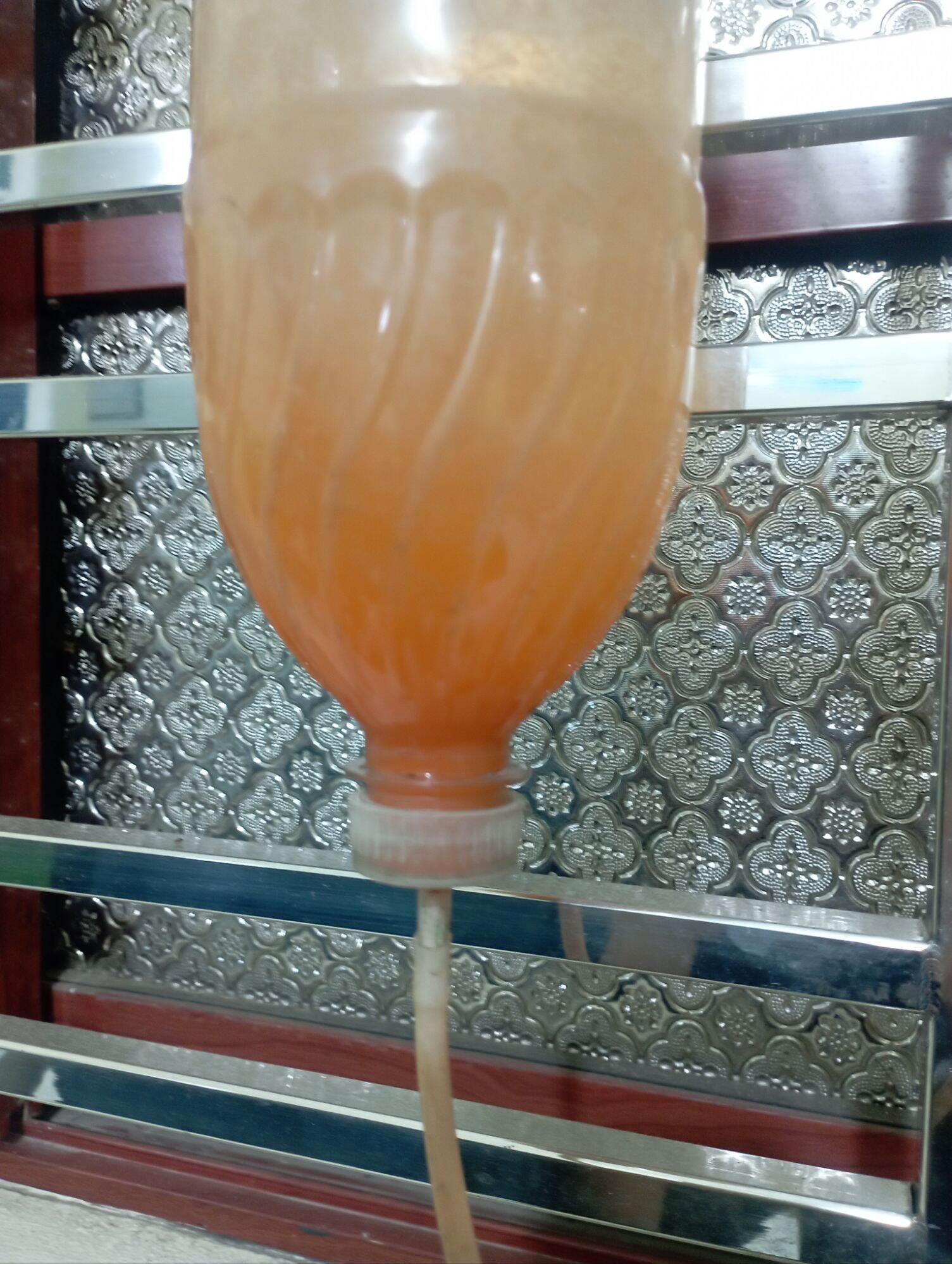 artemia lon vàng  lẻ 50g