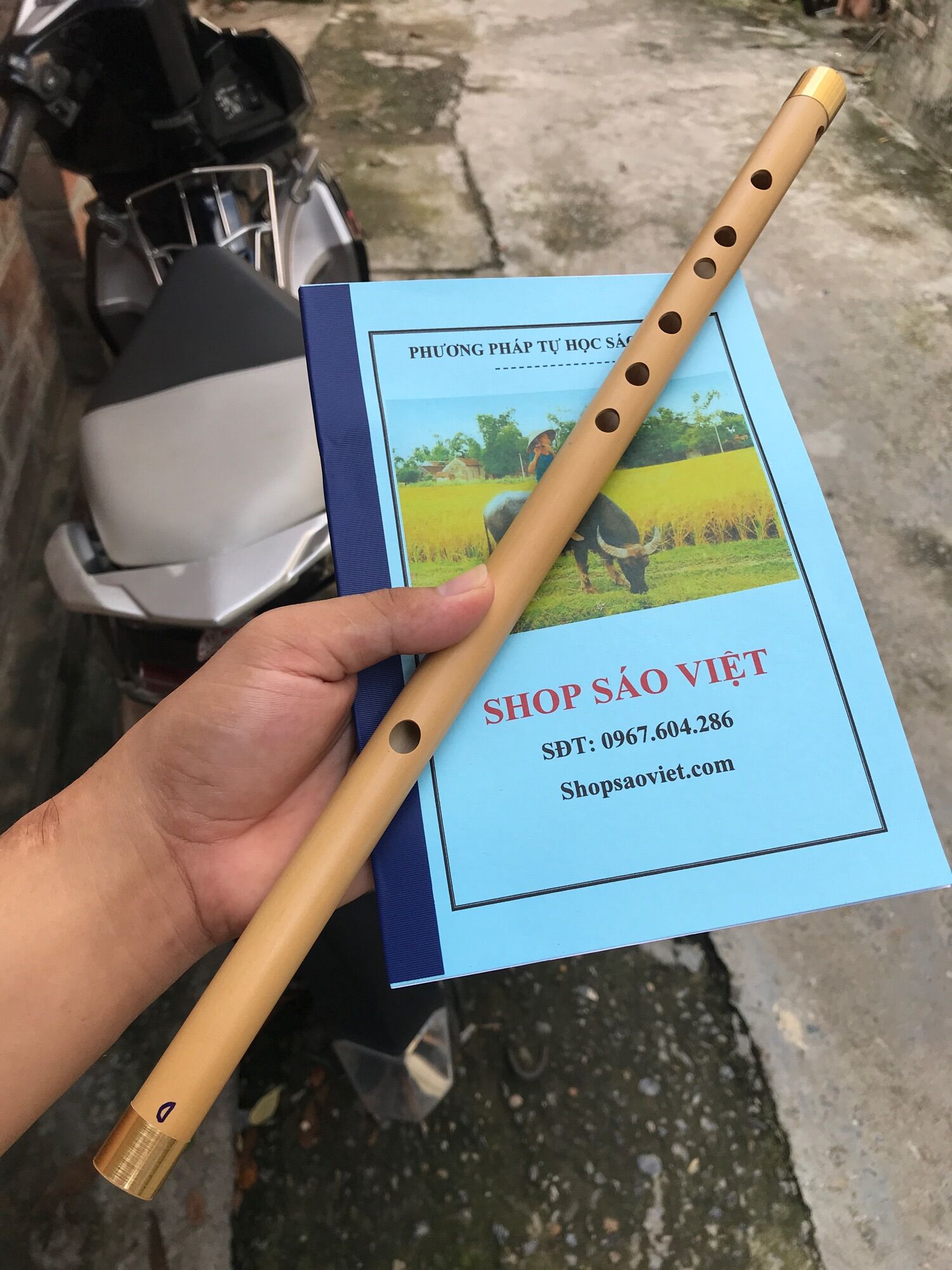 Sáo trúc rê cao (D5)