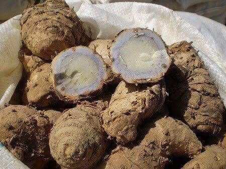 1 kg nghệ đen lát phơi khô hàng sạch chuẩn