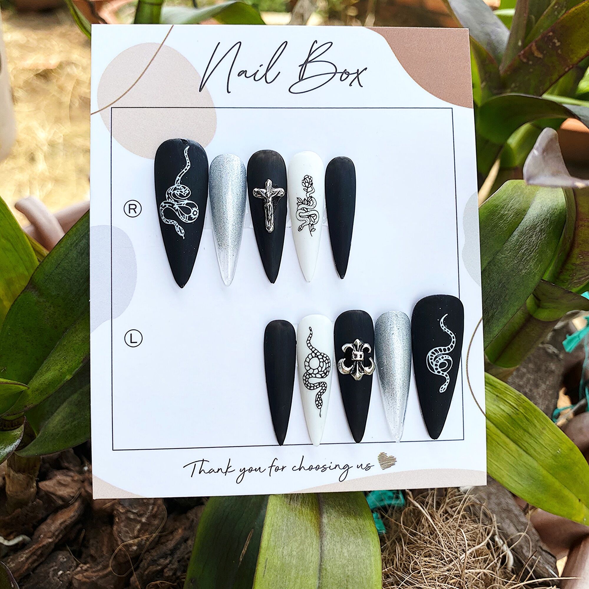 Nailbox thiết kế mẫu rắn