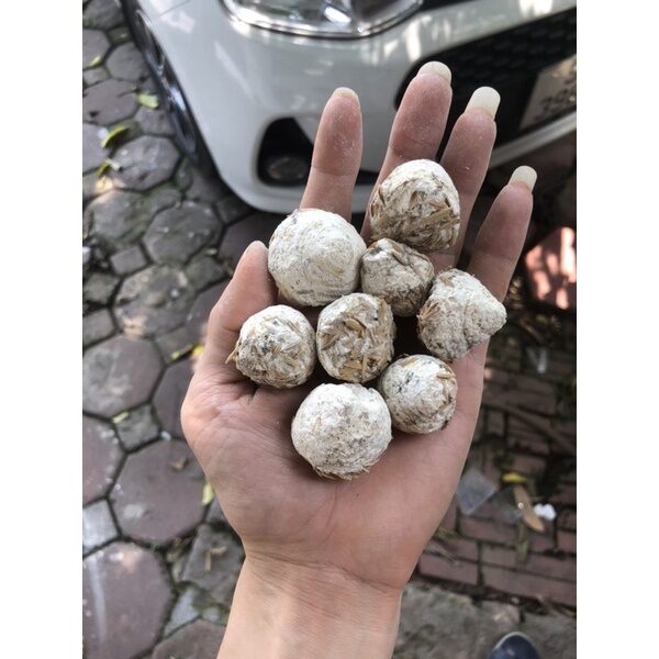 10 Viên Men Ngọt – Làm Cơm Ruou Nếp Cái, Nếp Cẩm, Ruou Vắt, Bánh Bò