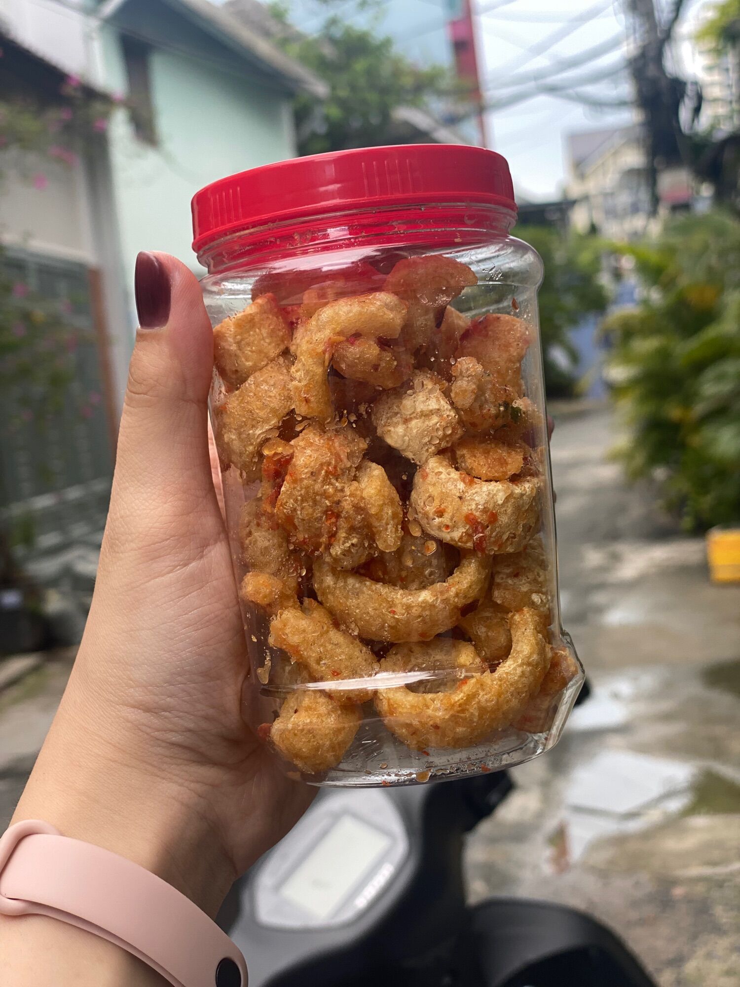 Hủ 100gr - da heo chiên giòn cháy tỏi ớt
