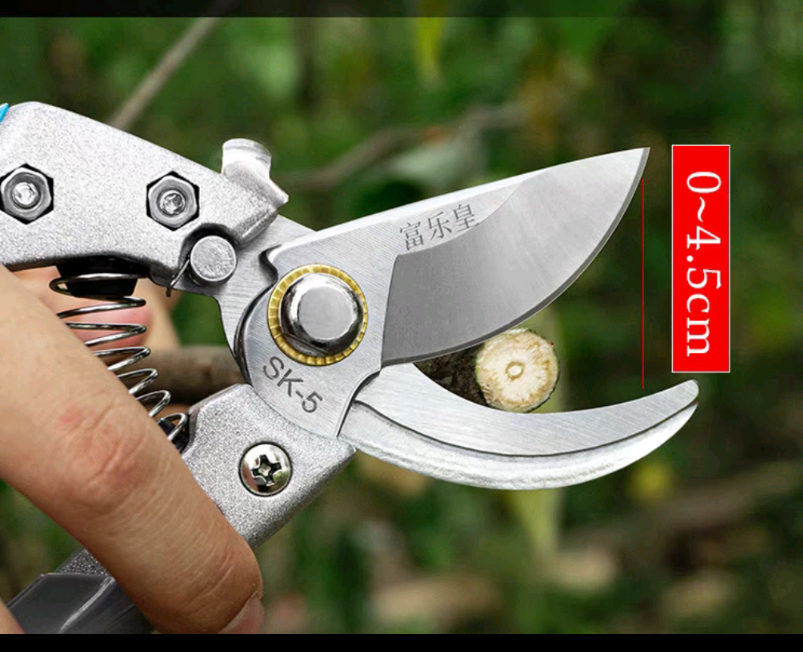 Kéo cắt cành cây, kéo cắt gà, đồ ăn, tỉa cây, inox tiện lợi-5