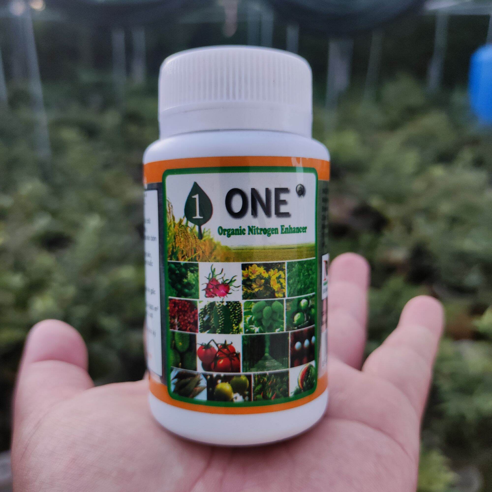 Dưỡng rễ One, Dưỡng rễ cây mai vàng
