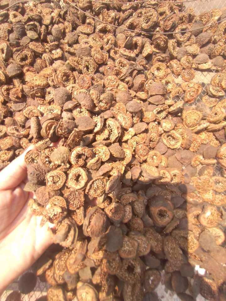 1 KG QUẢ SUNG KHÔ THÁI LÁT