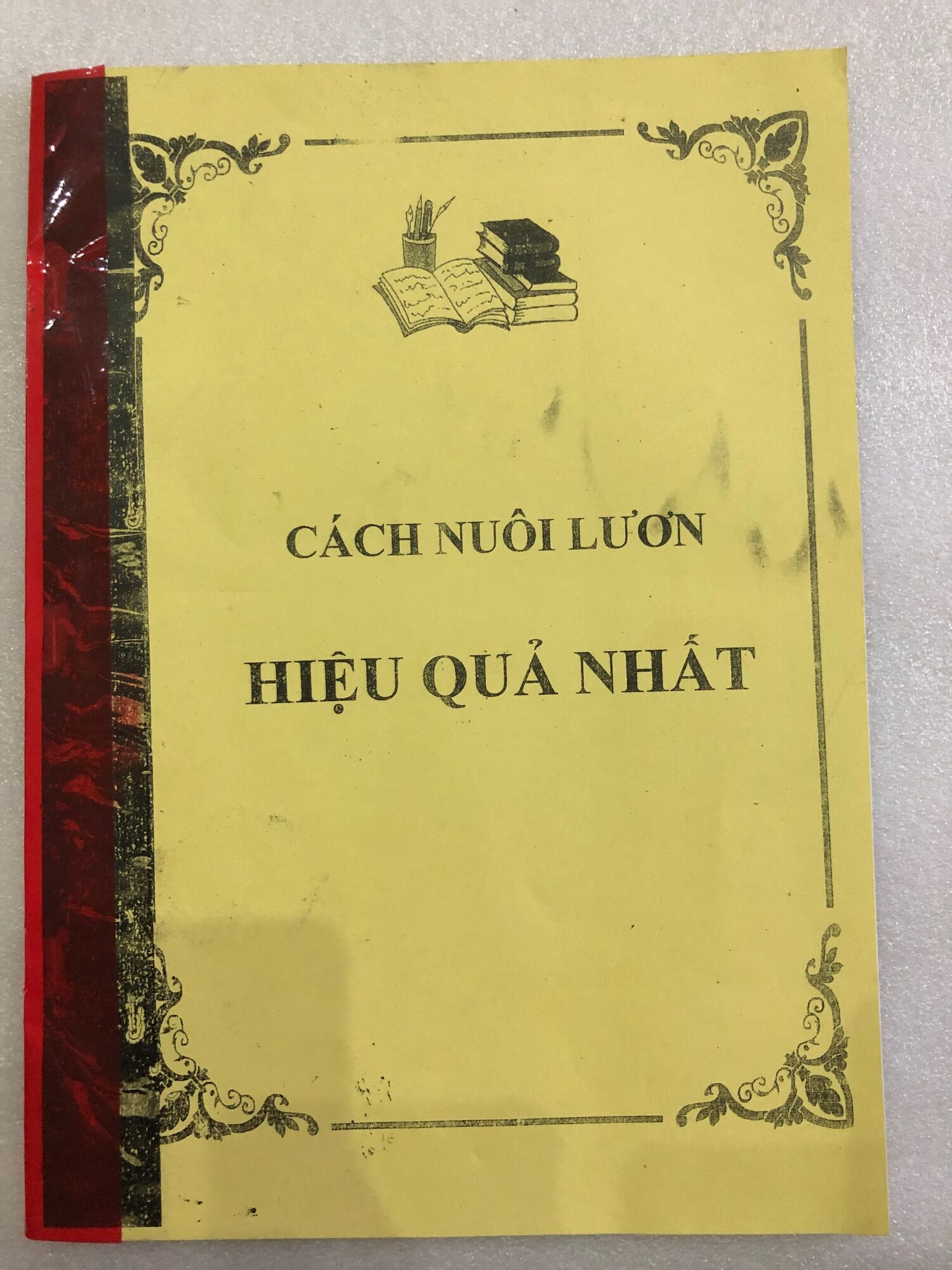 Kỹ thuật nuôi lươn không bùn