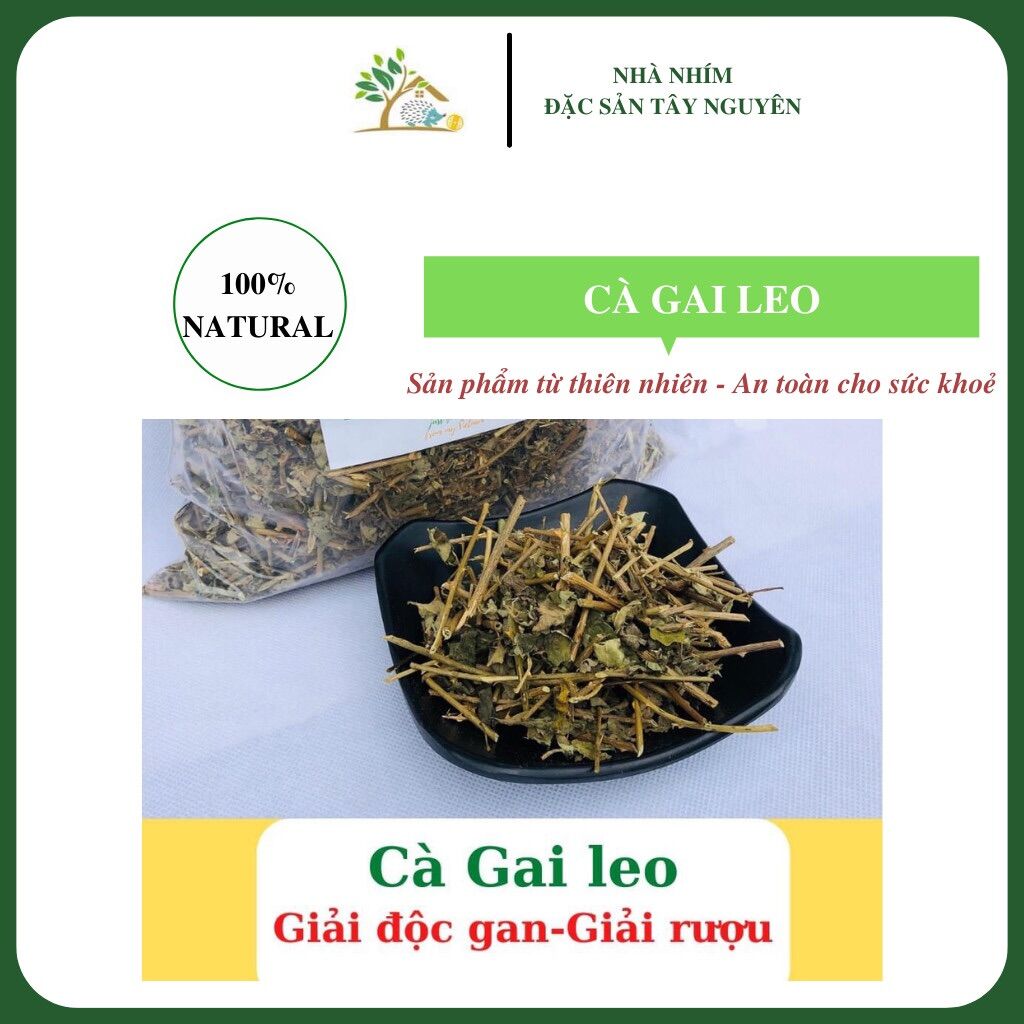 Cà gai leo Hoà Bình hỗ trợ điều tri về gan - Túi 500gr