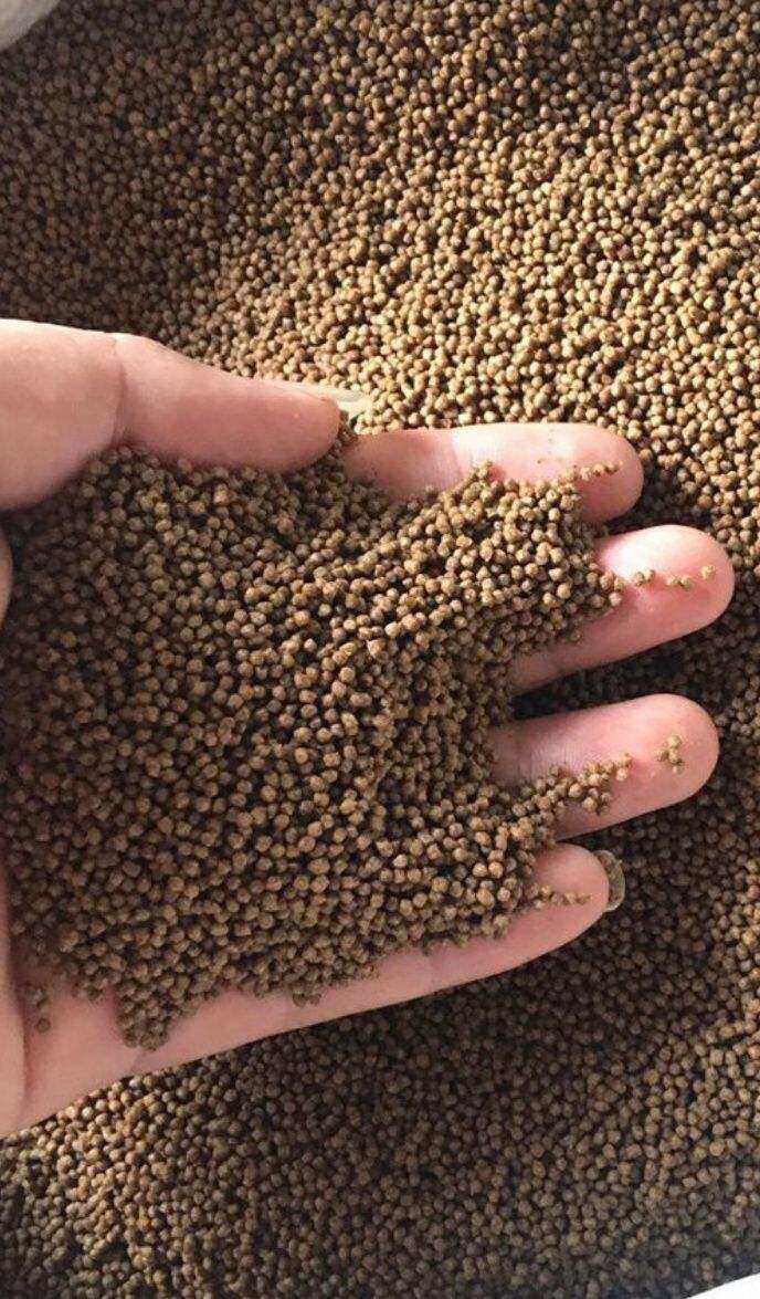 cám cargilll 7414 1kg