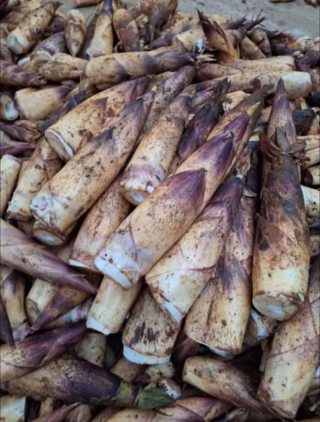 Măng vầu ngọt Tây Bắc 1kg