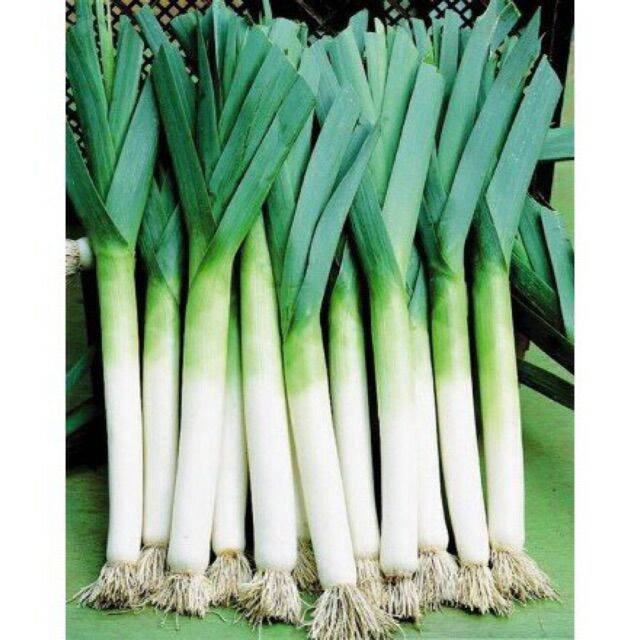 Hạt giống hành boro - gói 2gr