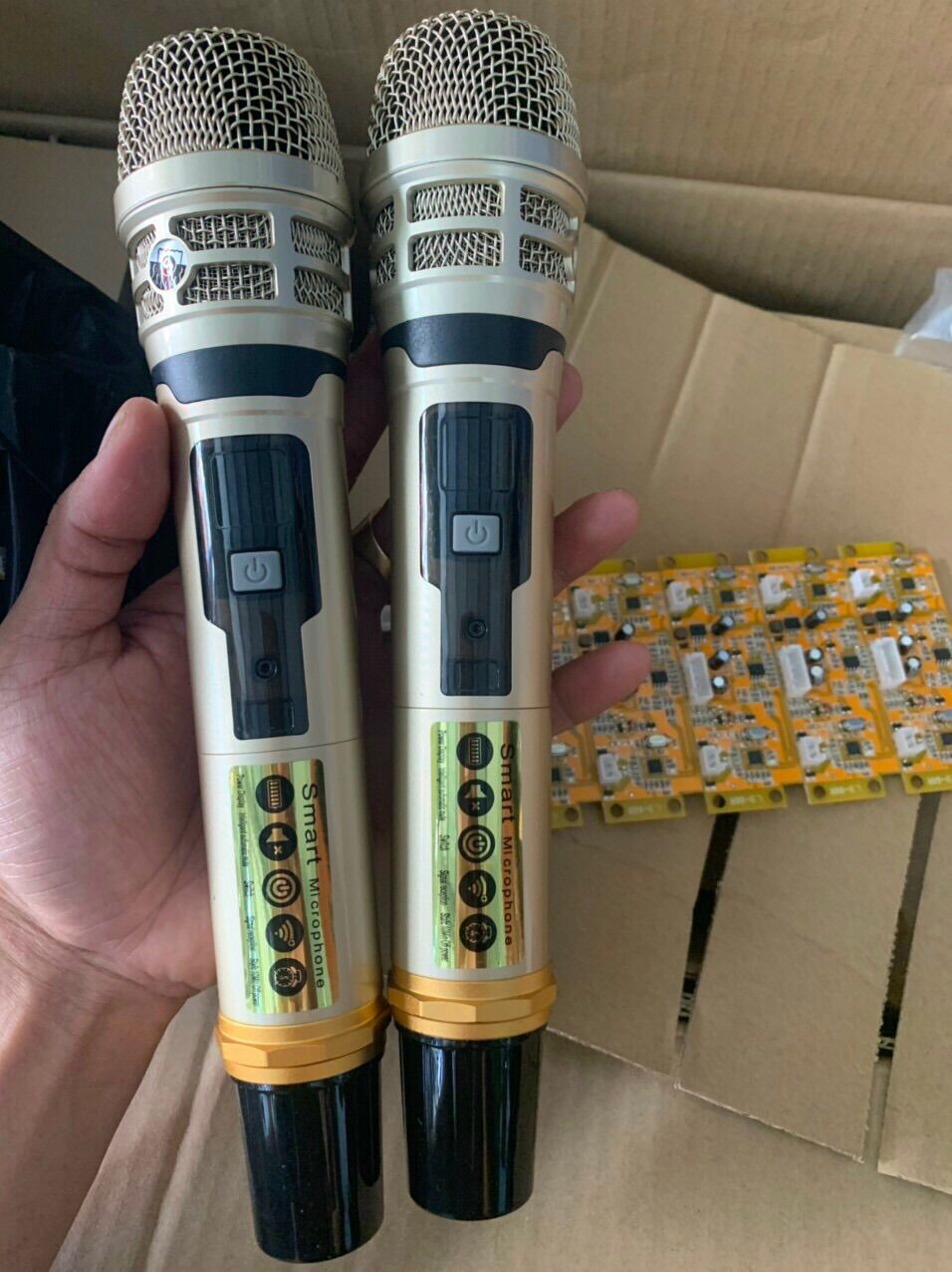 Bộ 2 micro loa kéo