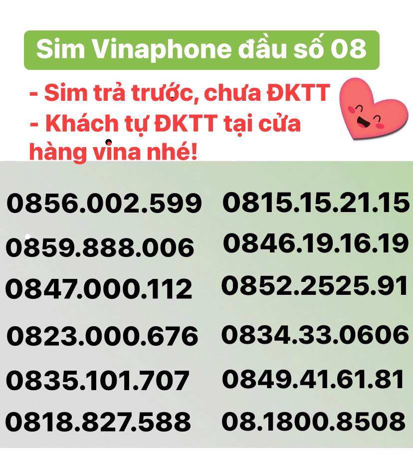 Sim vina đầu số 08 dễ nhớ