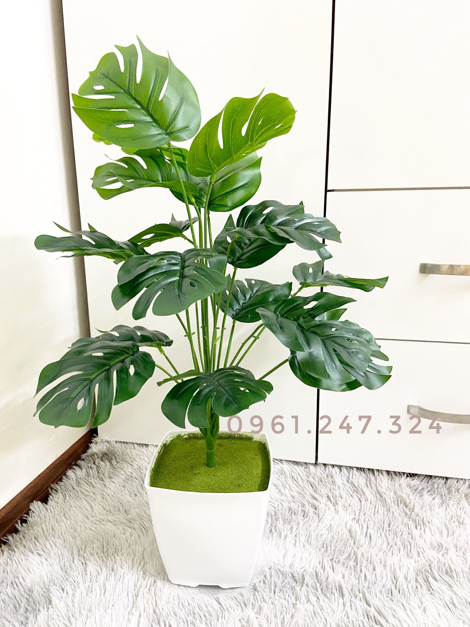 Cây giả - cây lá rùa 50cm