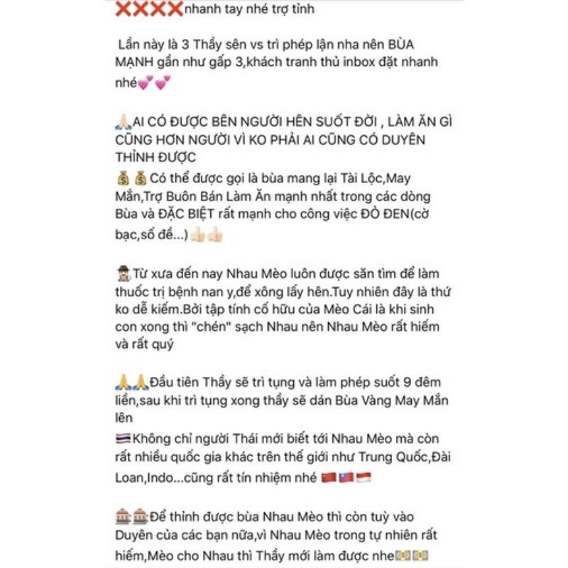 Nhau Mèo May Mắn