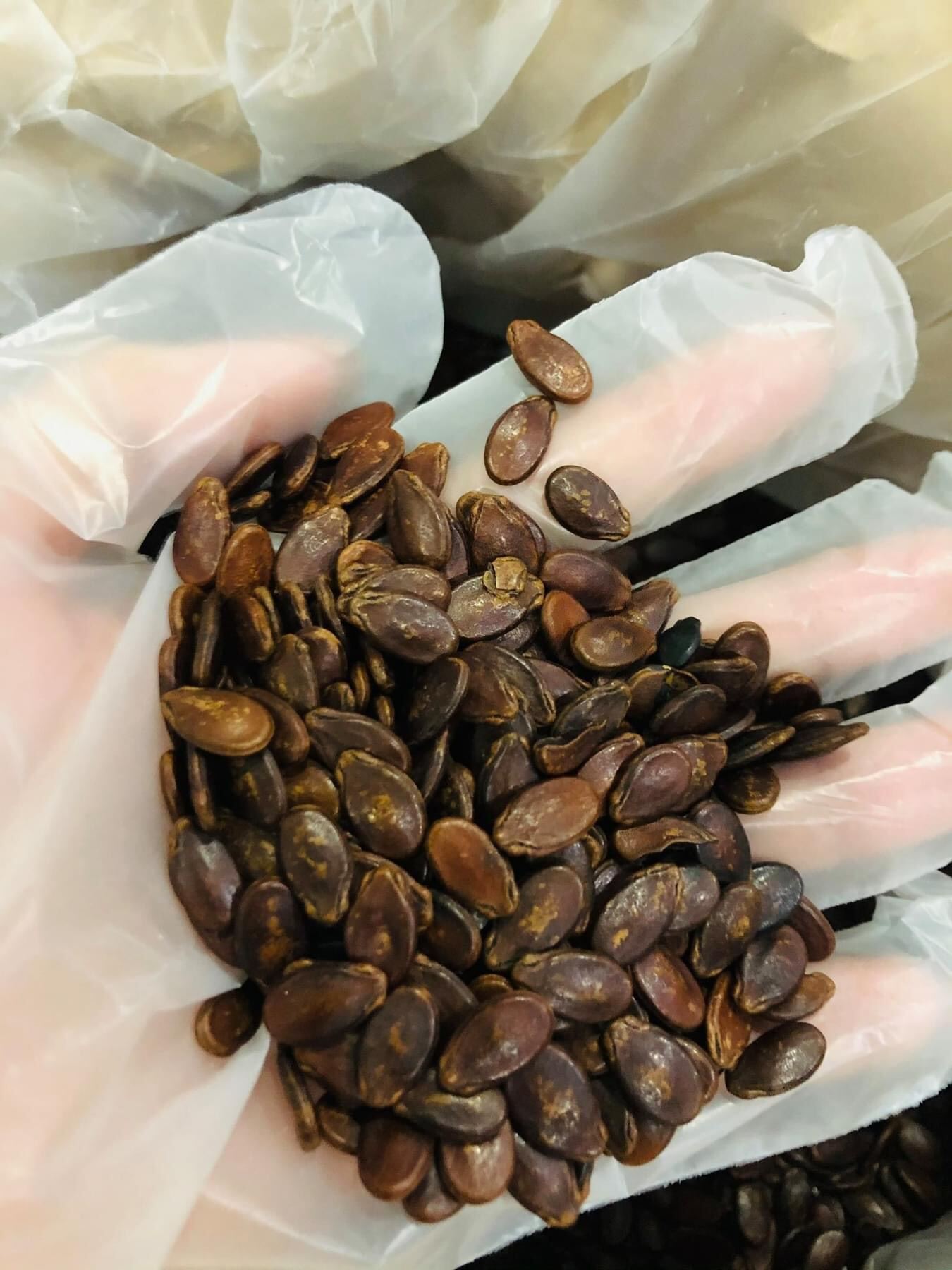 Phong Ky Melon Seeds, Hand-Roasted, 500g Bag/ 2 Bags of 250g