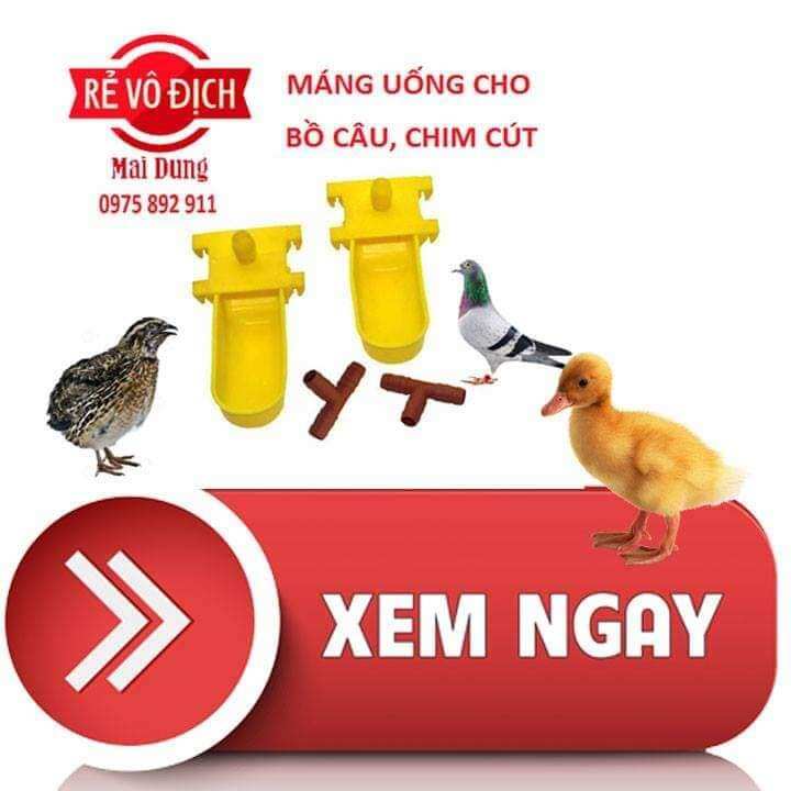 30 cái máng uống cho chim cút, bồ câu