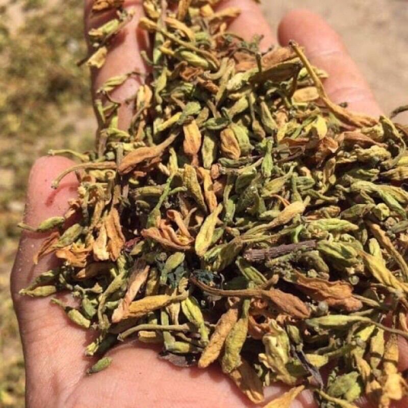 Nụ hoa đu đủ đực 500gr