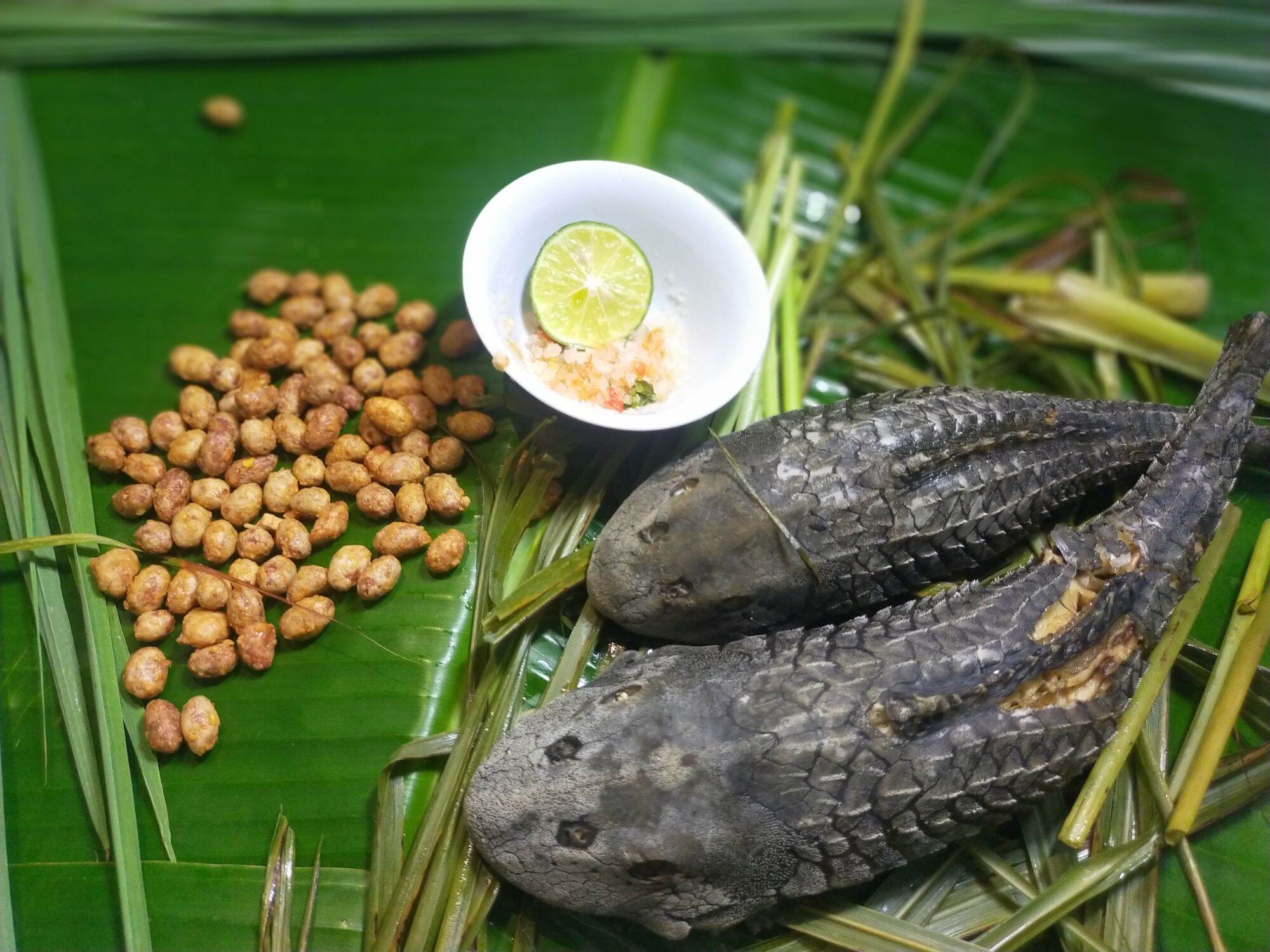 Đậu phộng rang tỏi ớt Pegachi - VITIFOOD - 500 gram