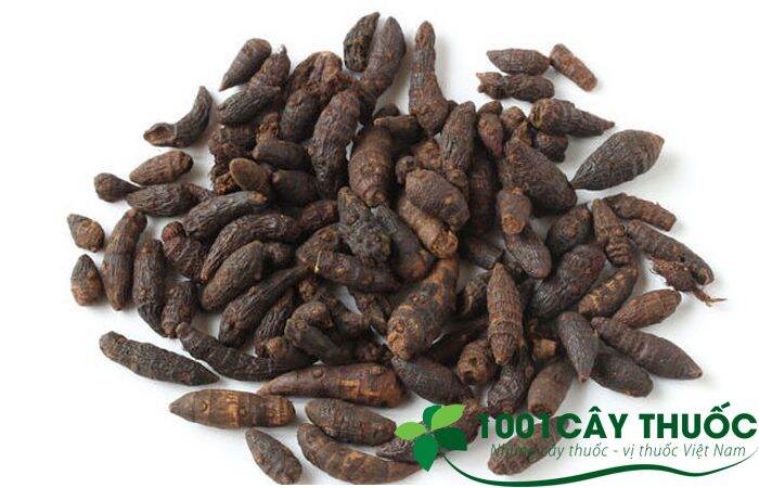 Cỏ cú khô 1 kg
