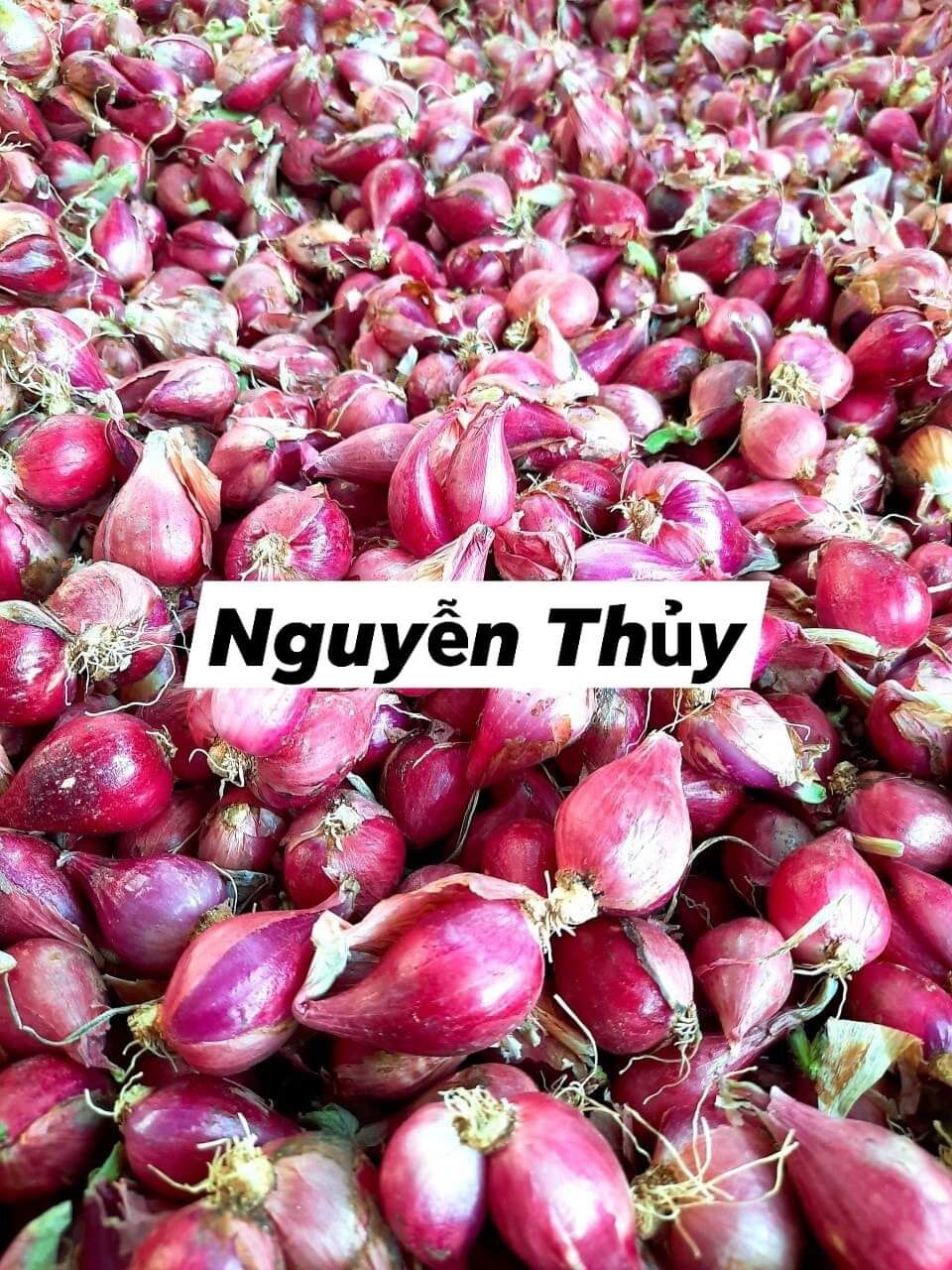 [HCM]HÀNH TÍM LÝ SƠN (1KG)