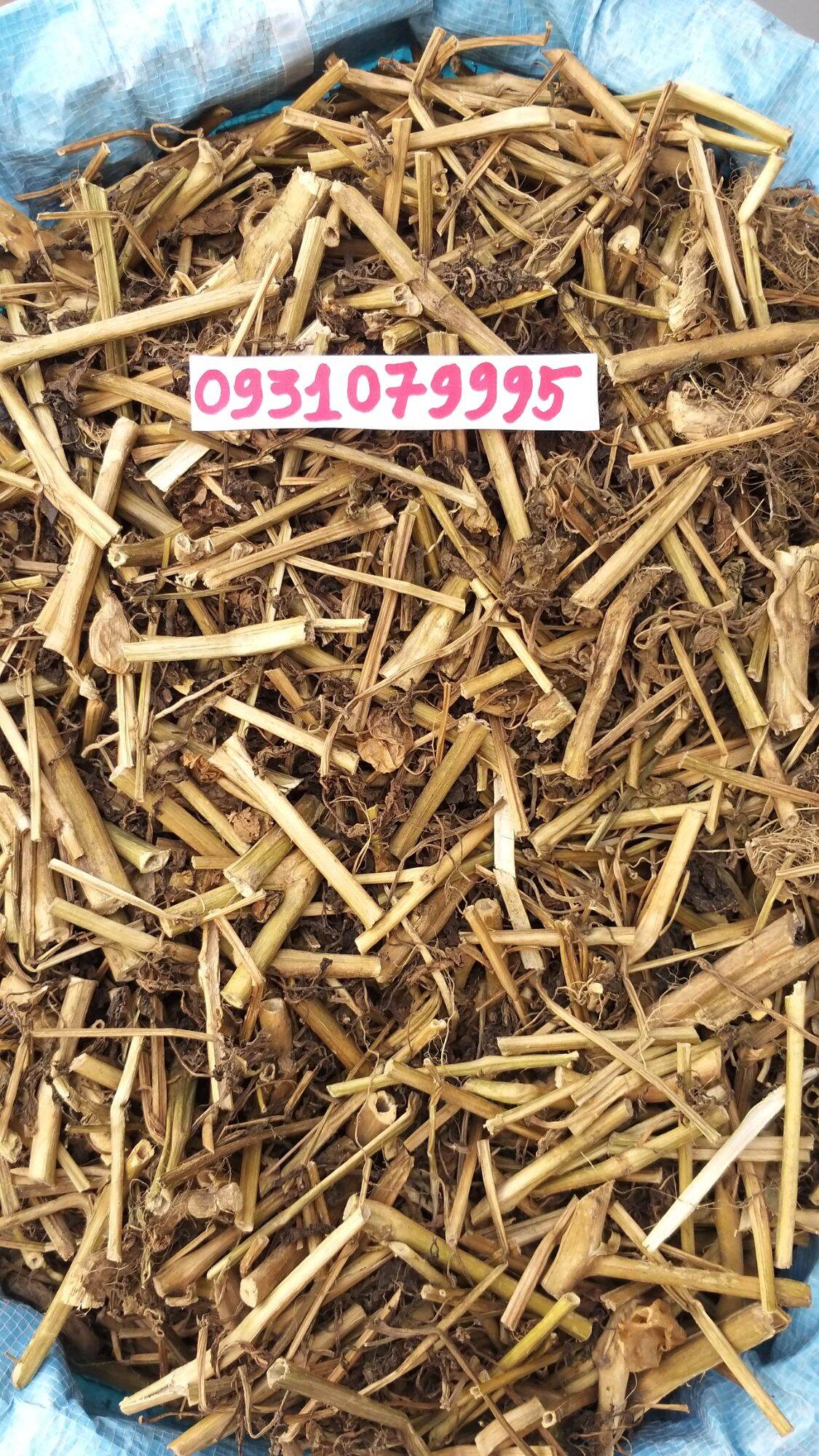 Cây tầm bóp - cây thù lù phơi khô 1kg