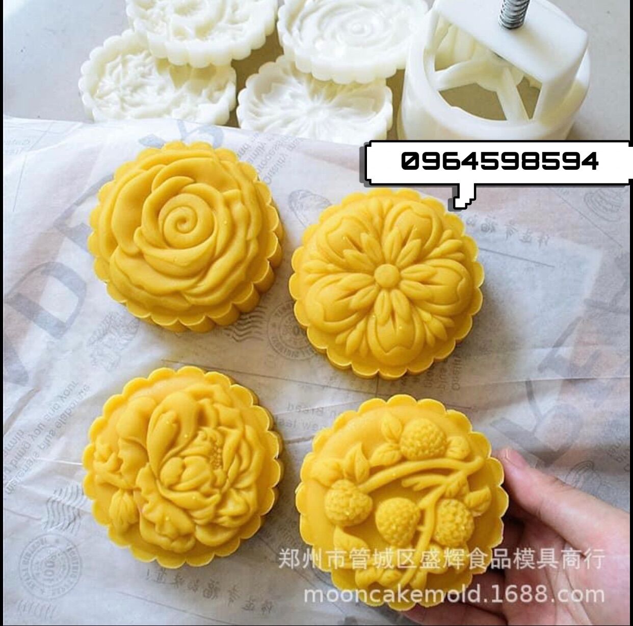 Khuôn trung thu lò xo mẫu hoa quả 200-250g