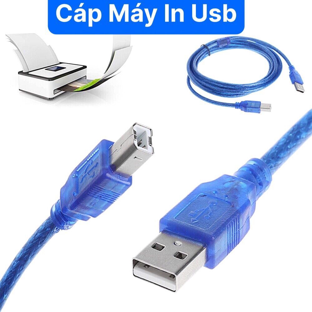 Dây Máy In USB 10m Chống Nhiễu Xanh kết nối máy in với máy tính