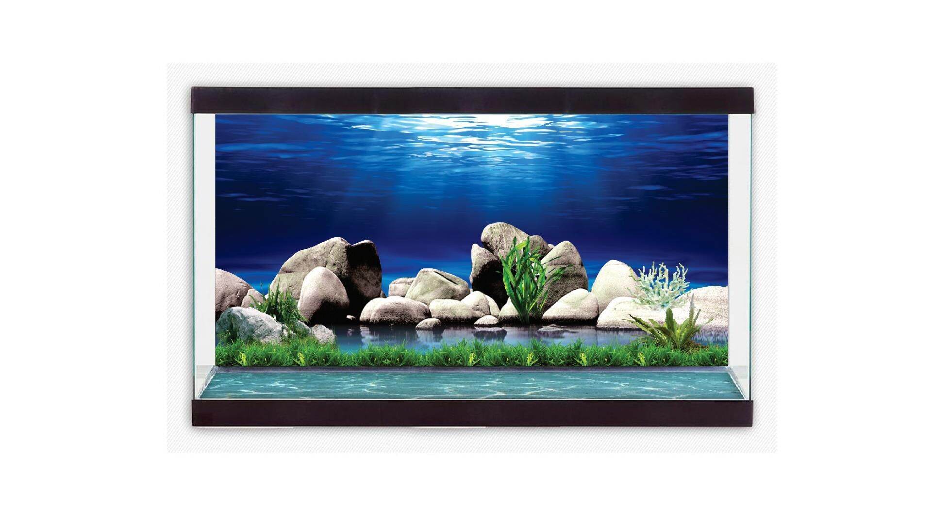 tranh 3d dán hồ cá  DECAL VIP- IN THEO KÍCH THƯỚC HỒ ( tranh lưng )