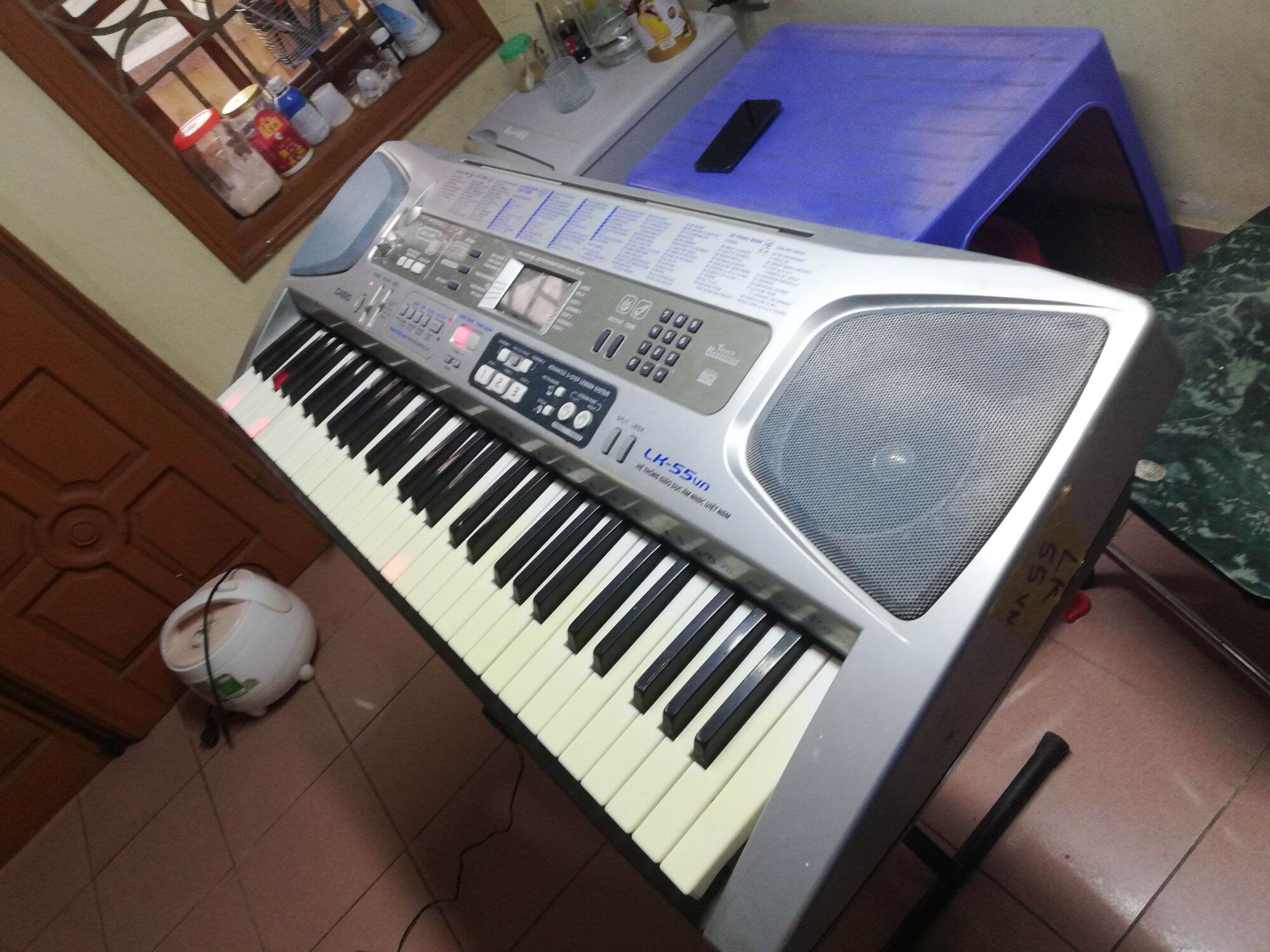 Đàn organ Casio LK55.vn
