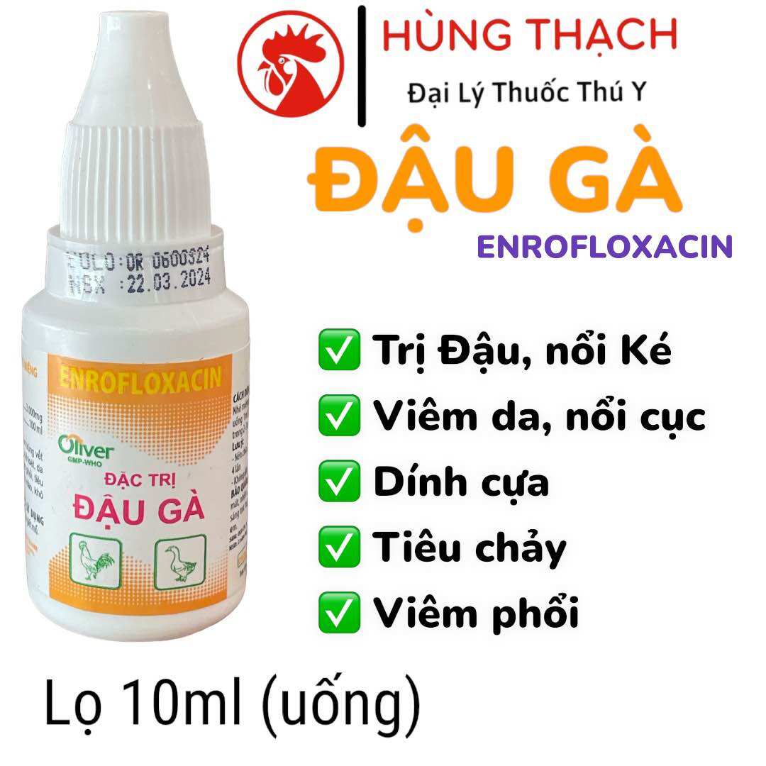 Đậu gà oliver 10ml cho gà bị Đậu, Ké, dính cựa, nổi mụn, nhiễm trùng vết thương, tiêu chảy, khò khè...
