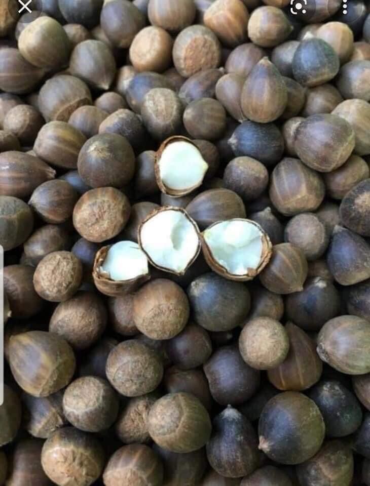 1kg hạt dẻ rừng tự nhiên