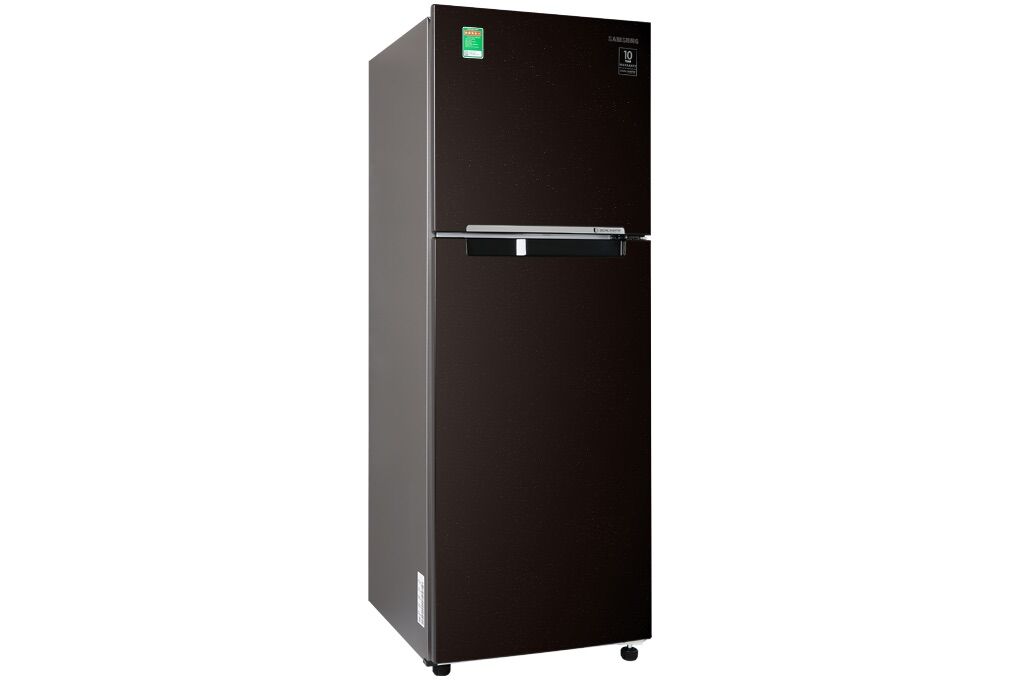 [HCM] Tủ lạnh Samsung Inverter 236 lít RT22M4032BY/SV