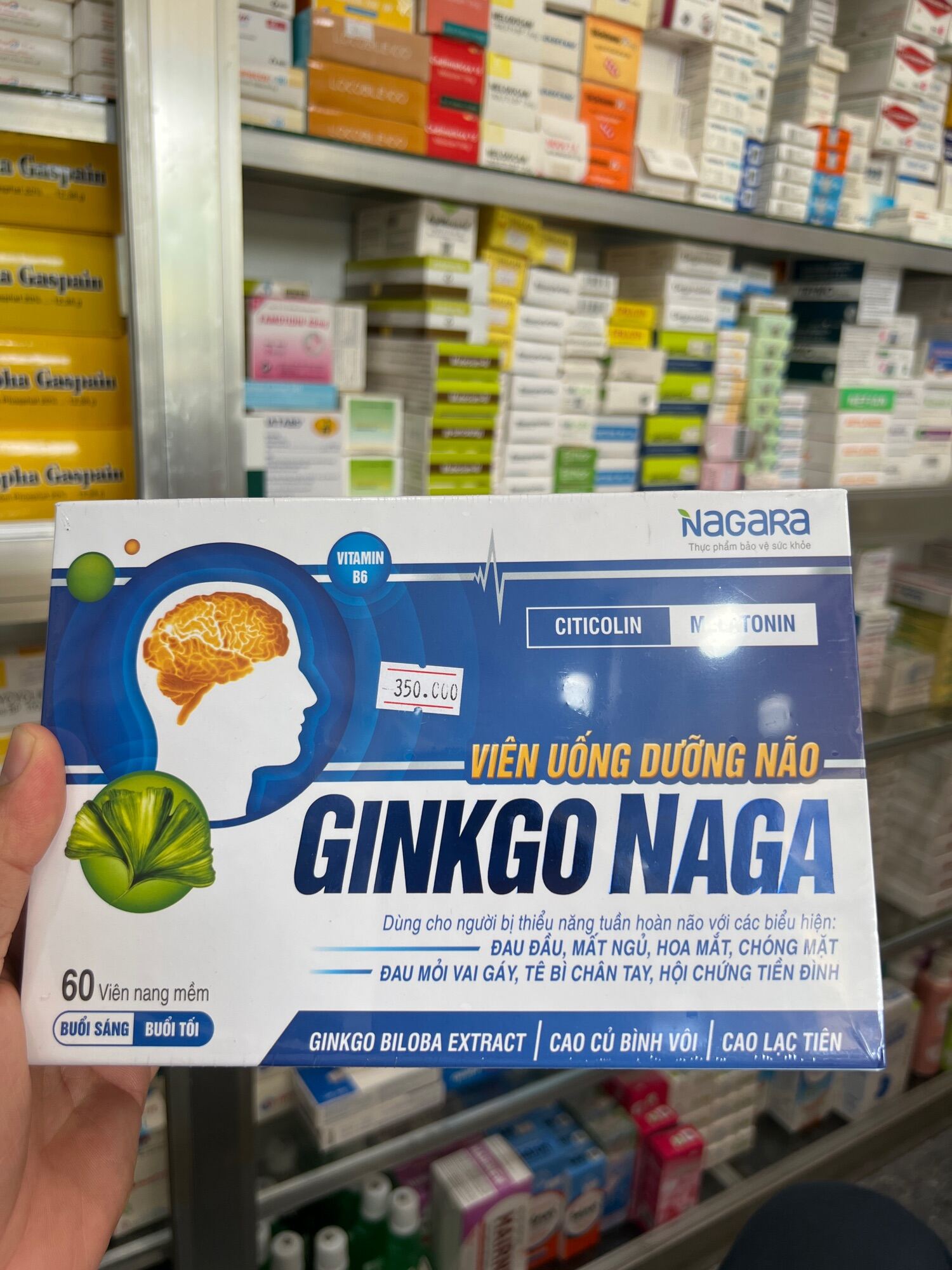Gingo naga