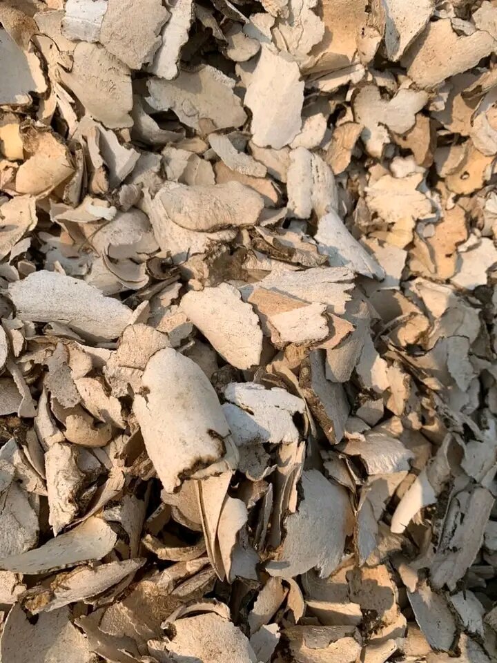 1kg củ khúc khắc khô (thổ phục linh) loại 1