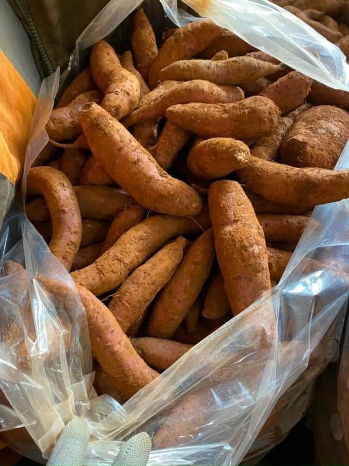 khoai lang mật 1kg