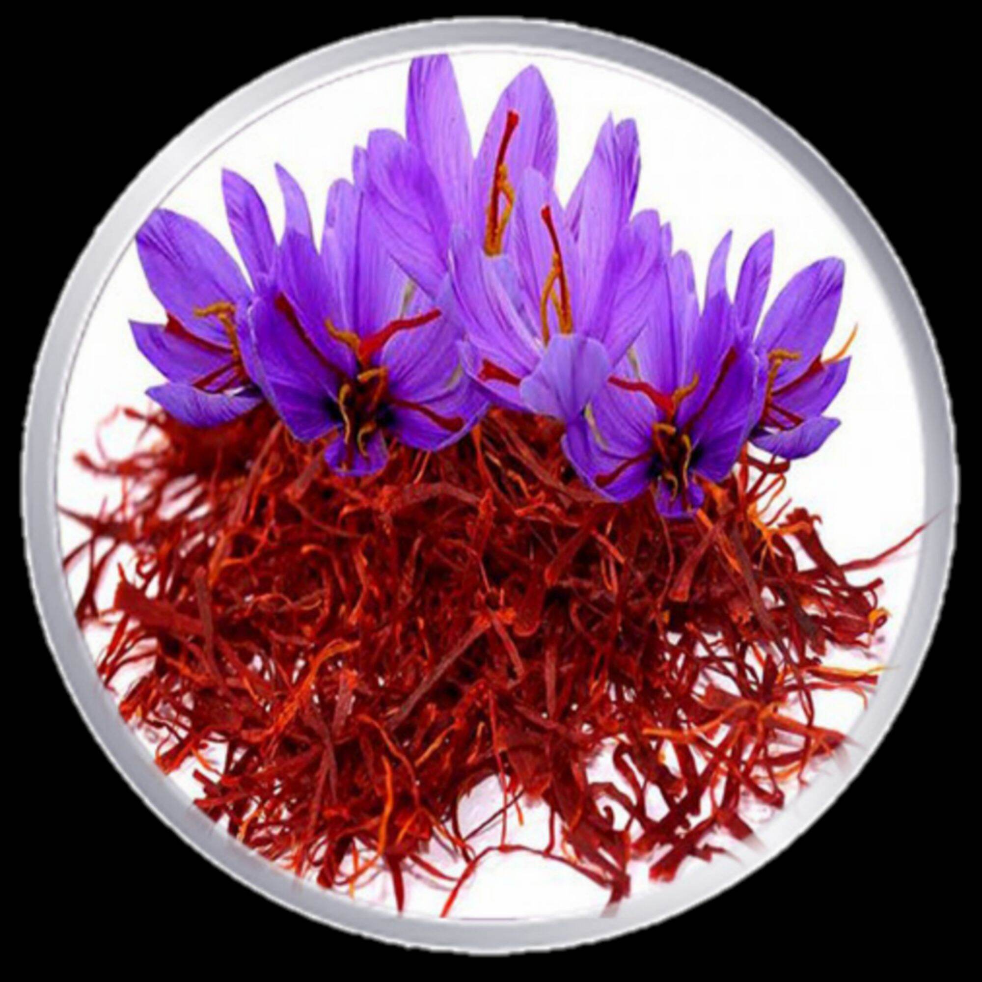 saffron - nhụy hoa nghệ tây