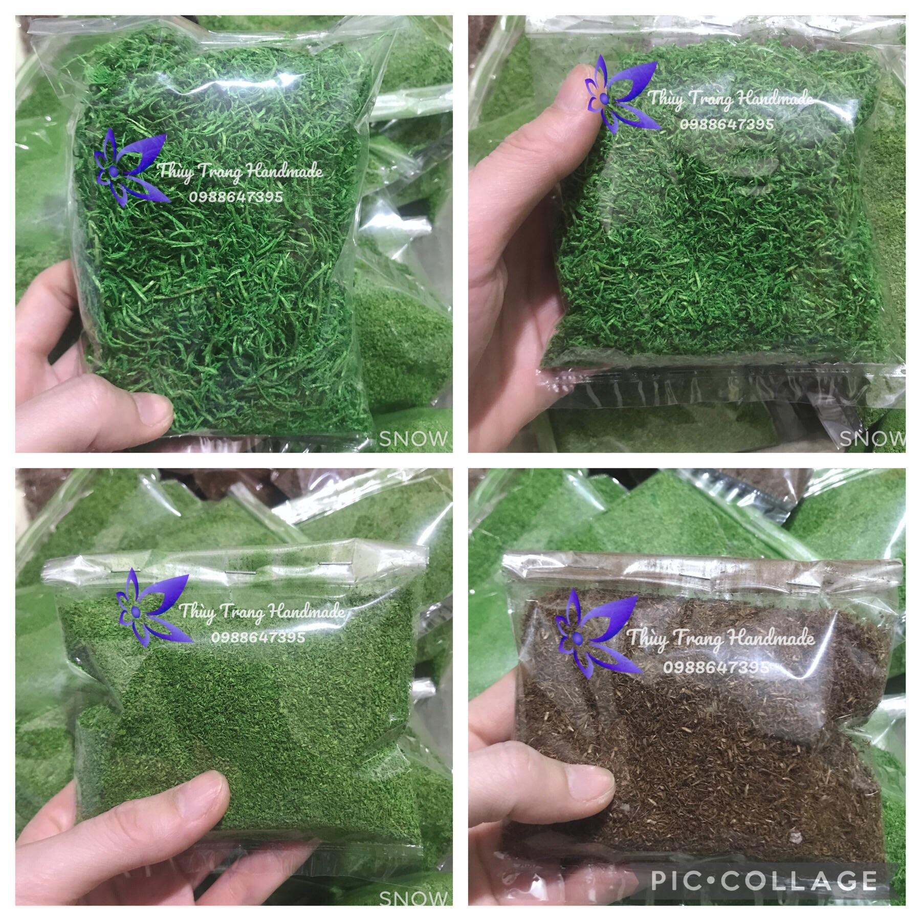 Rêu bột và rêu sợi phủ thân, gốc cây