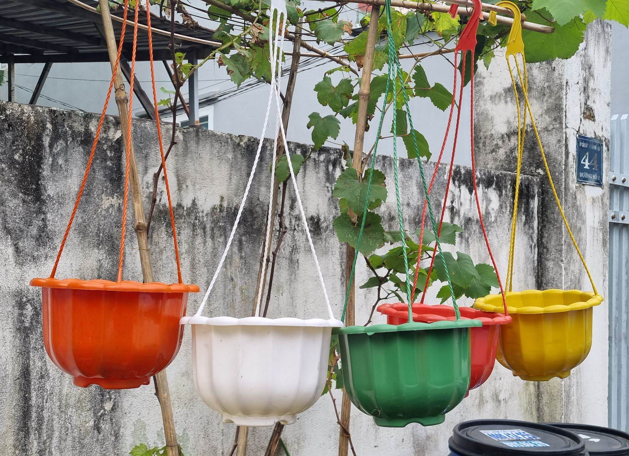 Chậu bí treo size 22cm