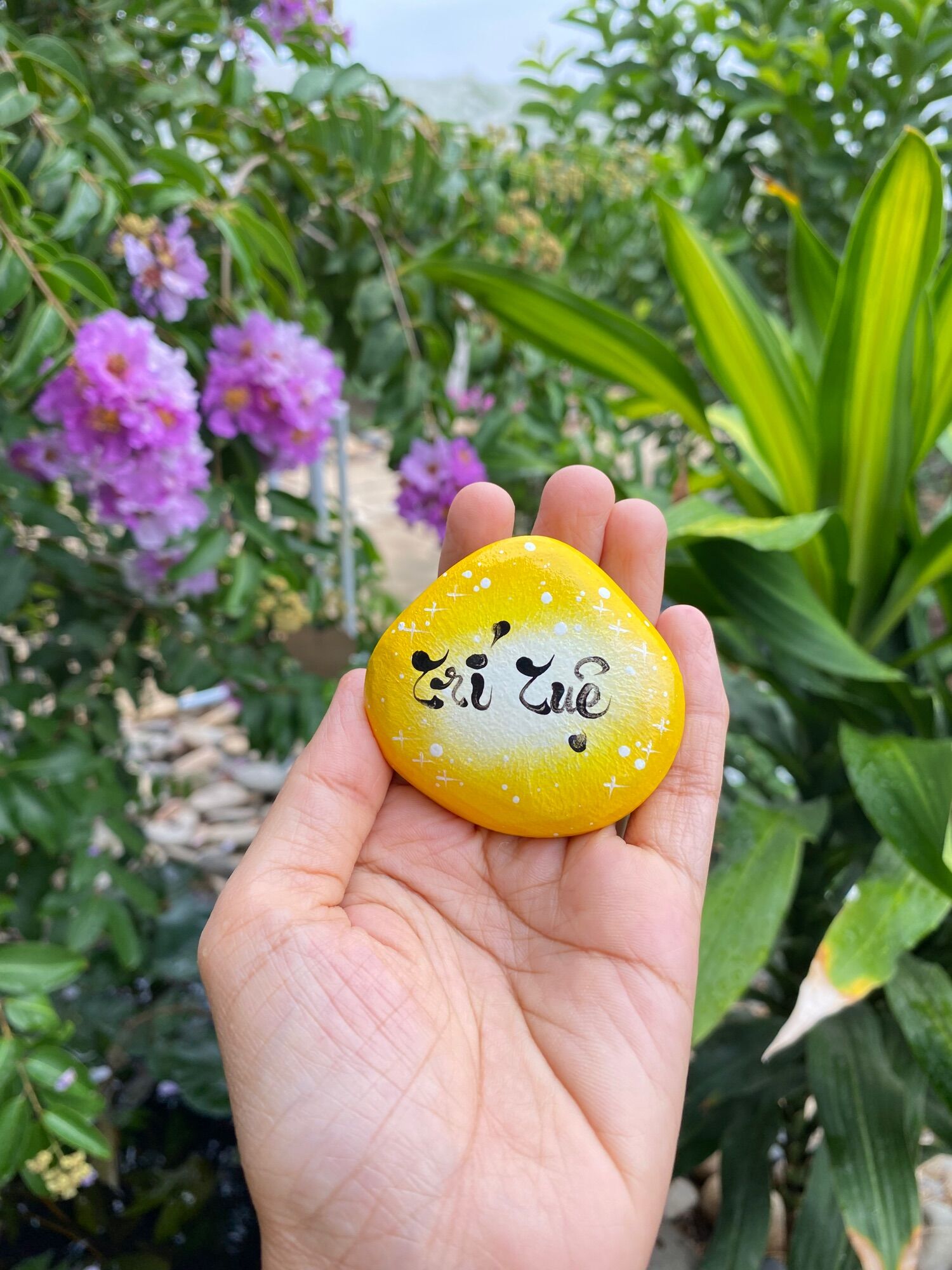 Hòn đá biết ơn 7 chữ khác nhau