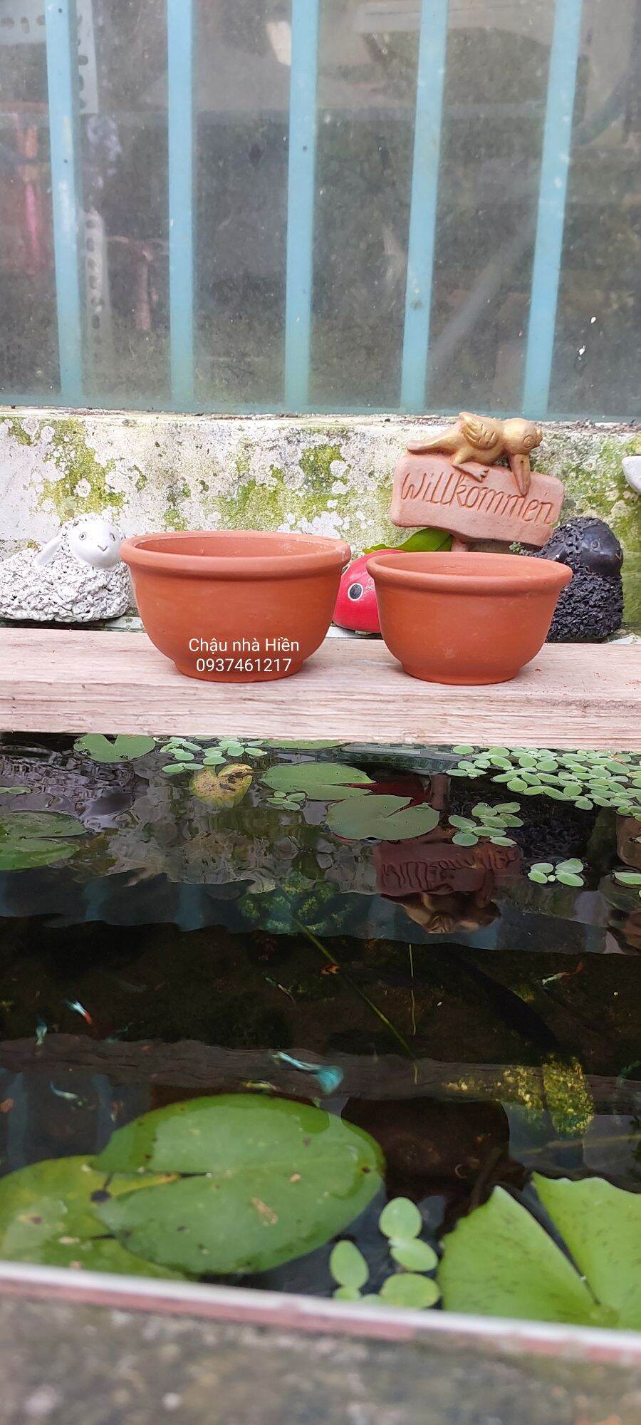 Chậu đất nung Bình Dương hình chén
