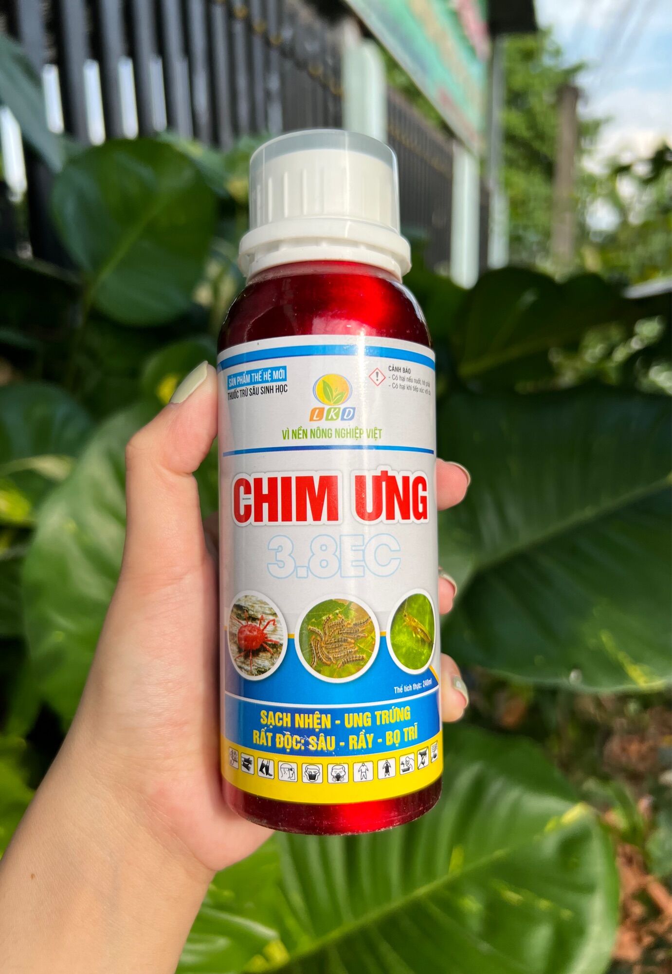 Thuốc trừ sâu sinh học chim ưng 3.8 ec sạch nhện - ung trứng 240ml