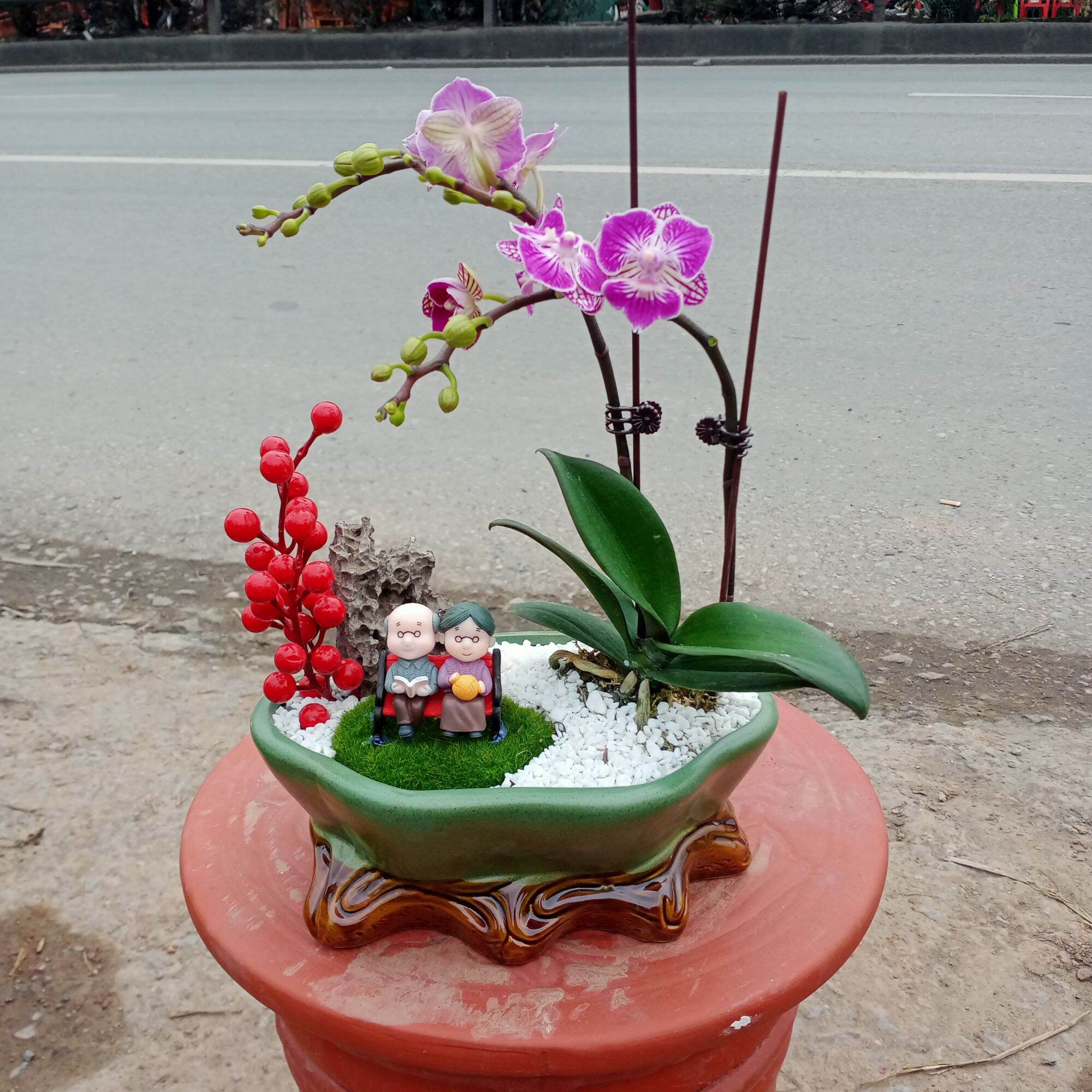 Ang trồng cây, chậu trồng cây