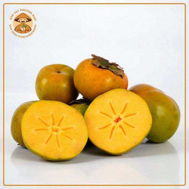 CÂY GIỐNG HỒNG GIÒN NHẬT BẢN
