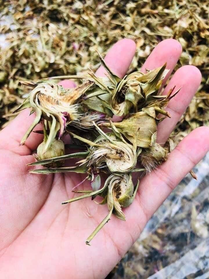 500g bông Atiso Đà Lạt