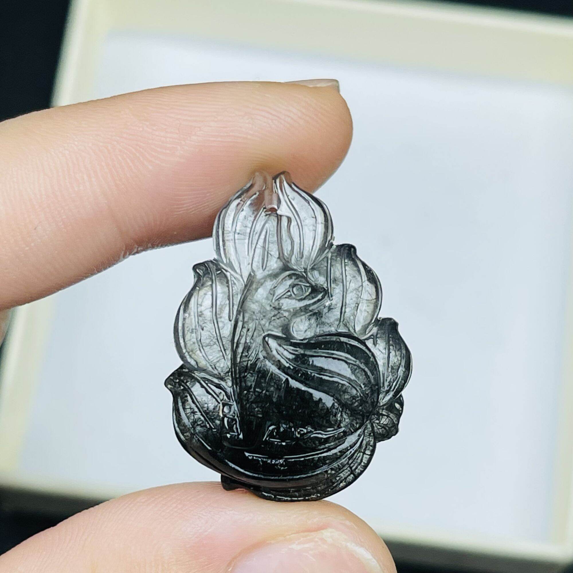 Hồ ly chúa tóc đen 3,3-4cm