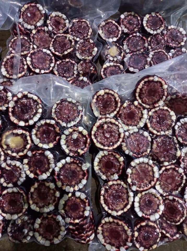 ngô tím nữ hoàng 1kg