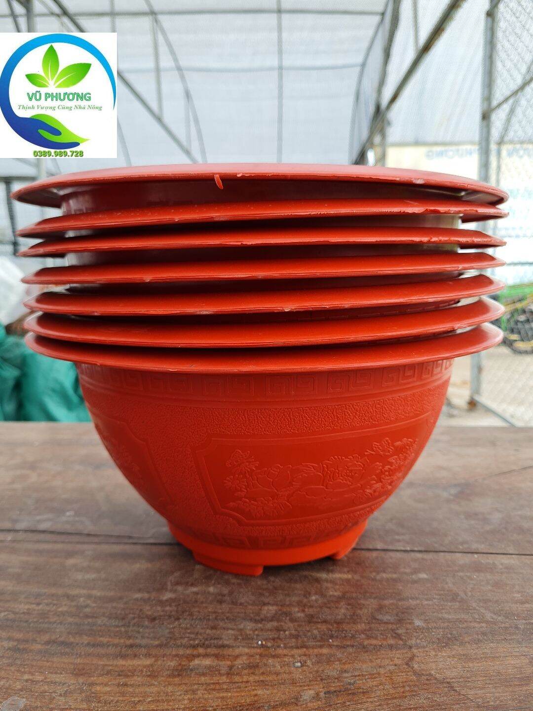 Combo 10 chậu t38 kt miệng 36x cao 20cm